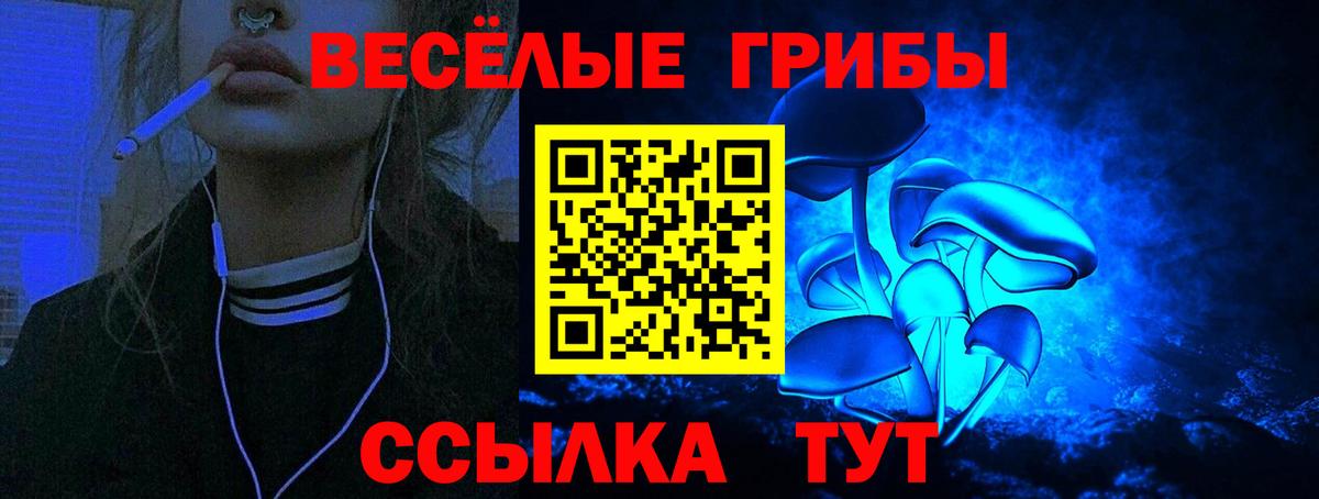 Галлюциногенные грибы Psilocybe  где купить   Великие Луки  Вход с VPN 
